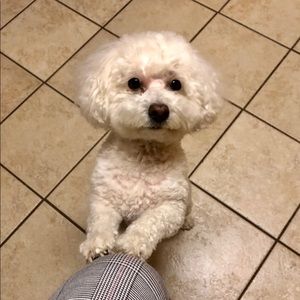 Meet your Posher, Laurie